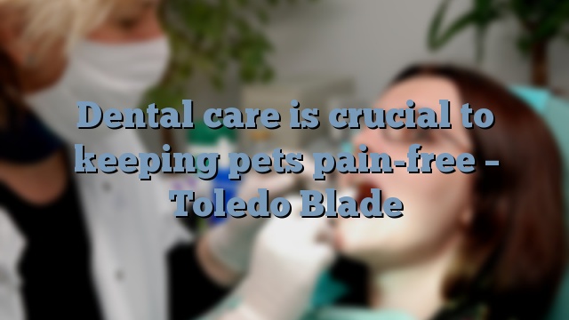 Dental care is crucial to keeping pets pain-free – Toledo Blade